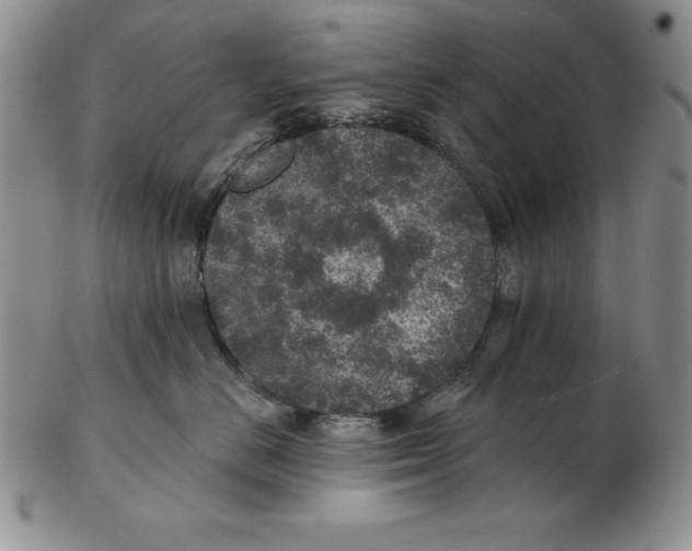 X0000102360670200808221717