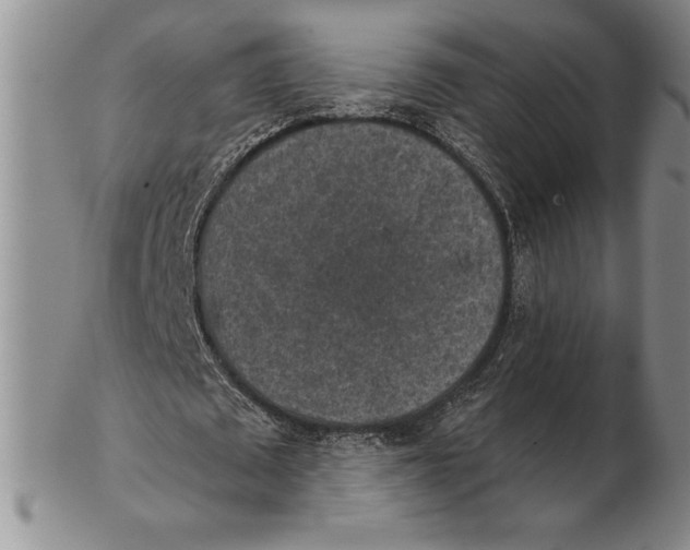 X0000102360673200808221716