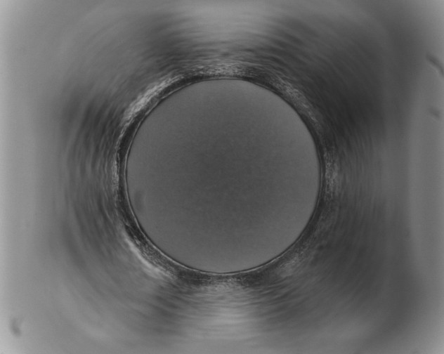 X0000102360674200808221716