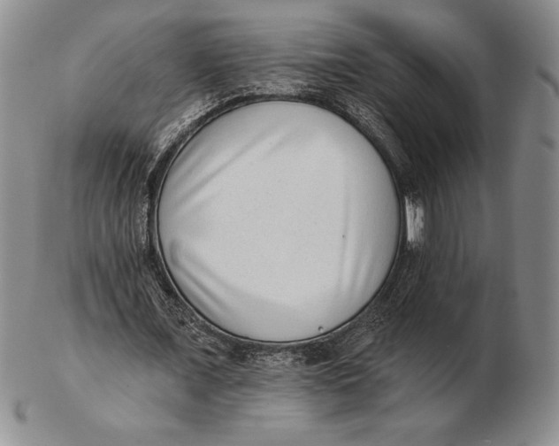 X0000102360675200808221716