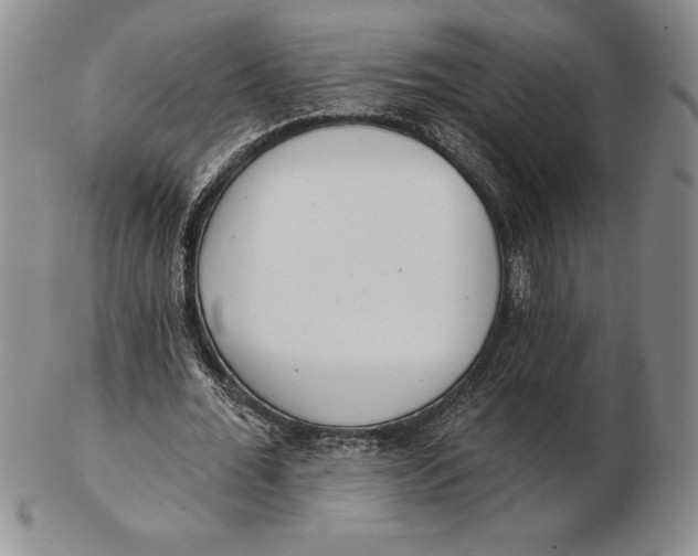 X0000102360676200808221716