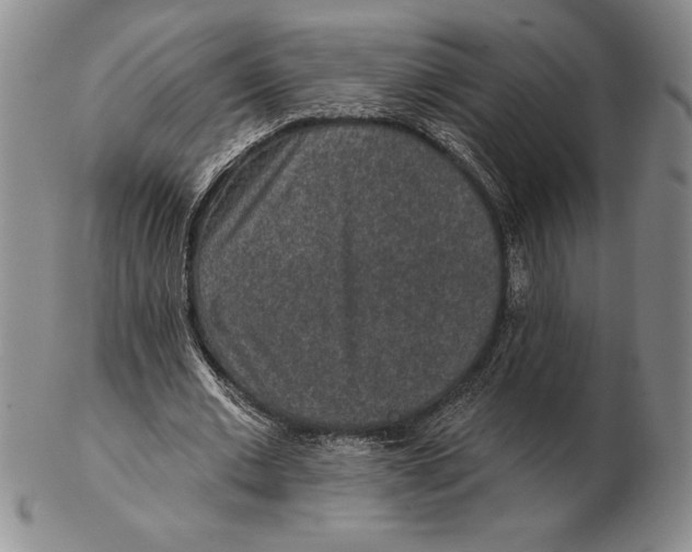 X0000102360677200808221716