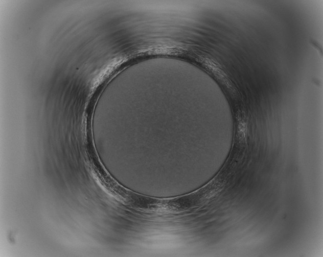 X0000102360678200808221716