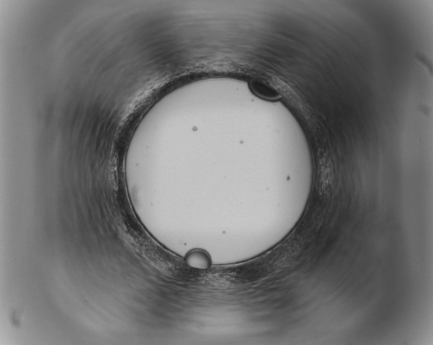 X0000102360680200808221716