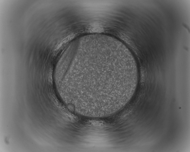 X0000102360681200808221716