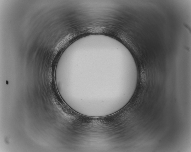 X0000102360682200808221716