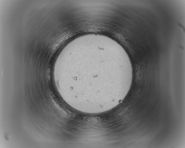 X0000102360683200808221716