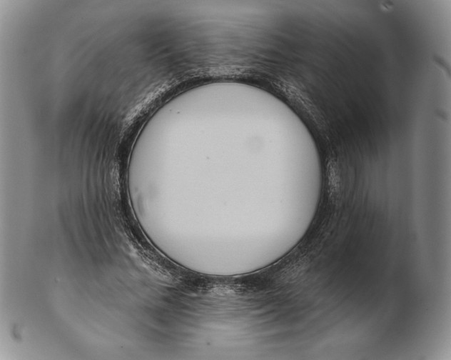 X0000102360684200808221716