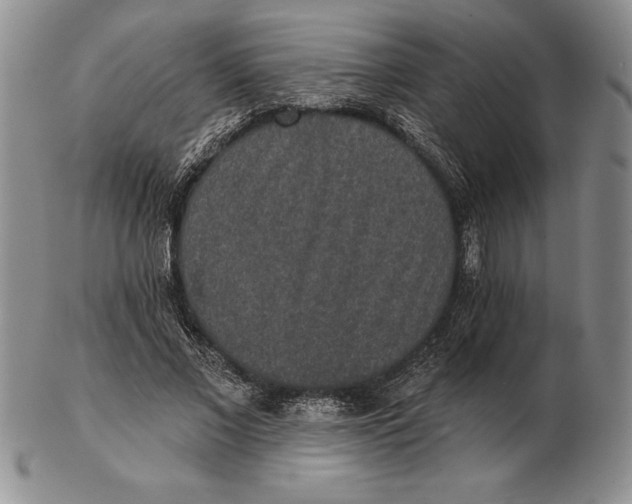 X0000102360685200808221716