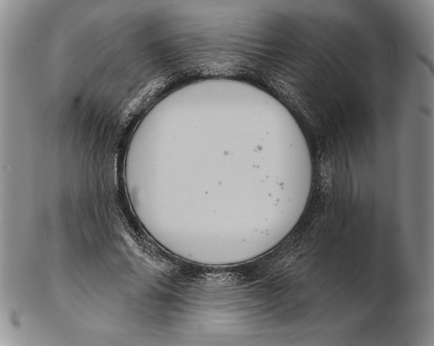 X0000102360686200808221716