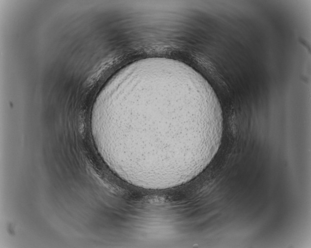 X0000102360687200808221716