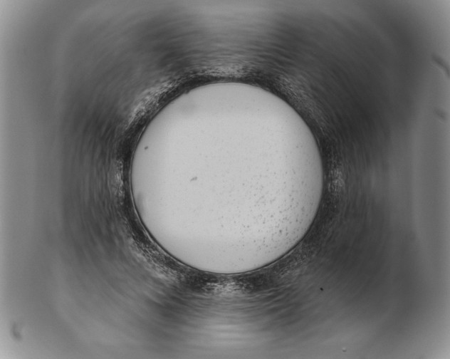 X0000102360688200808221716