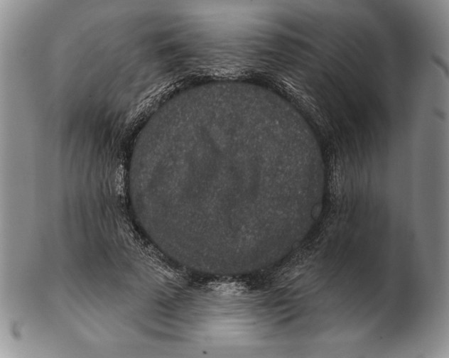 X0000102360689200808221716