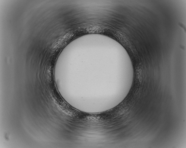 X0000102360690200808221716