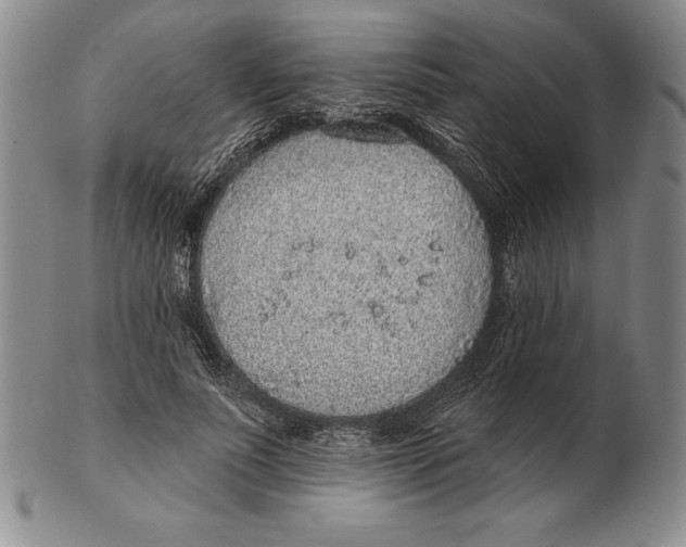 X0000102360691200808221716