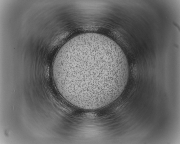 X0000102360692200808221716