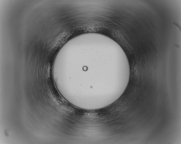 X0000102360694200808221716