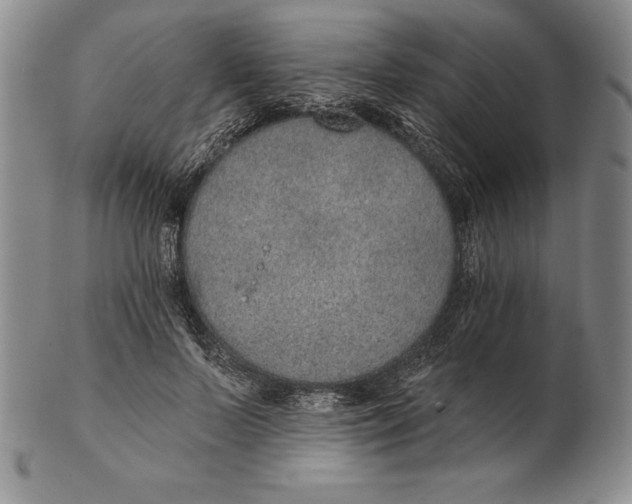 X0000102360695200808221716