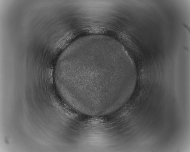 X0000102360696200808221716