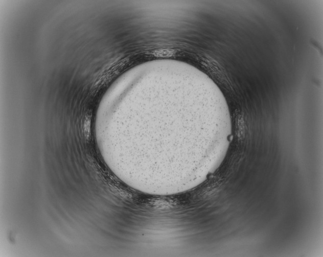 X0000102360697200808221716