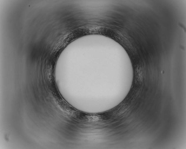 X0000102360698200808221716