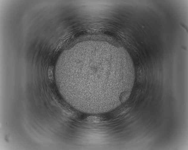 X0000102360699200808221716