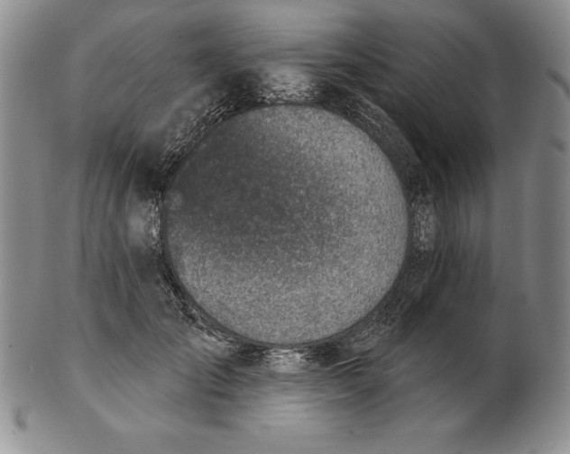 X0000102360701200808221716