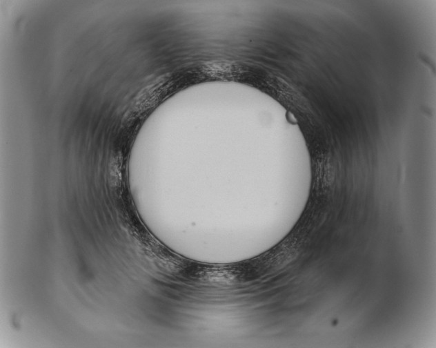 X0000102360702200808221716