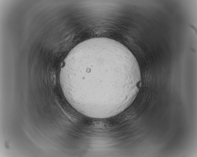 X0000102360703200808221716