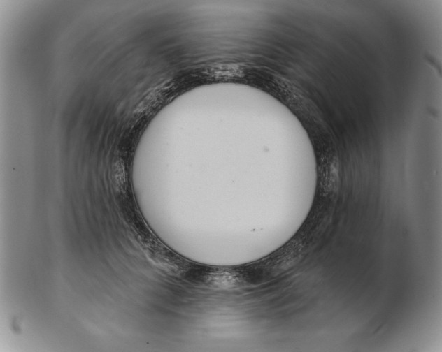 X0000102360704200808221716