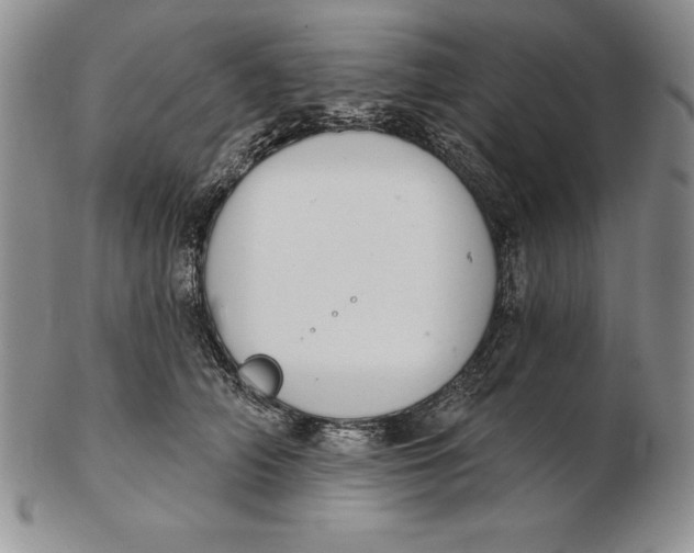 X0000102360706200808221716