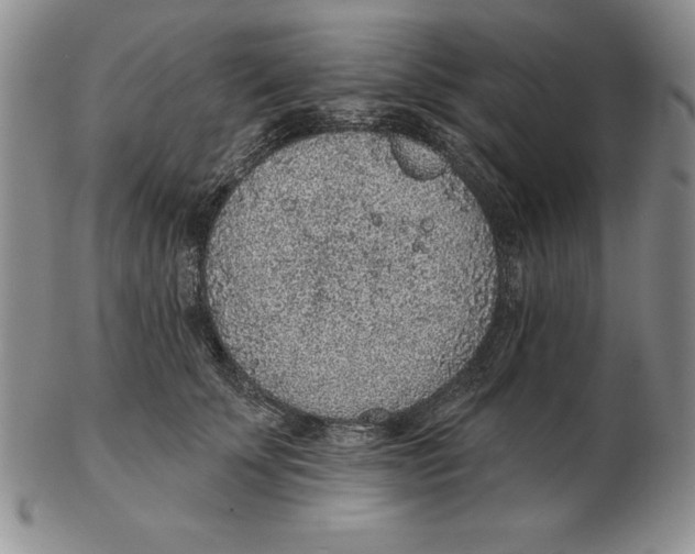 X0000102360707200808221716