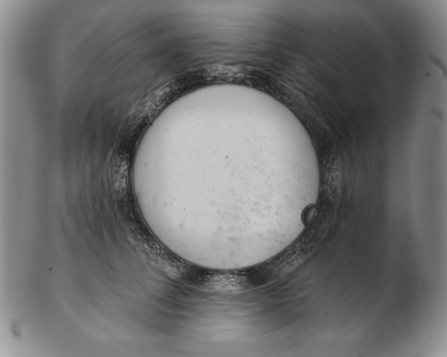 X0000102360708200808221716