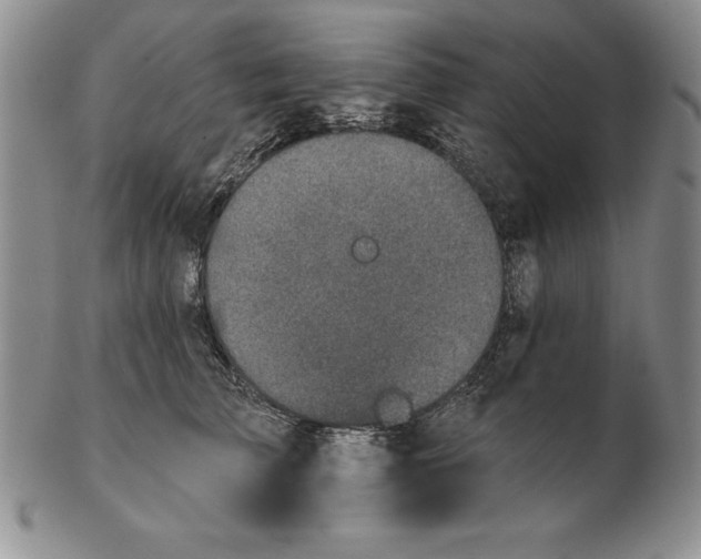 X0000102360709200808221716