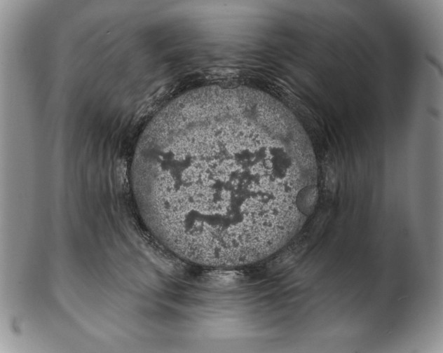 X0000102360711200808221716