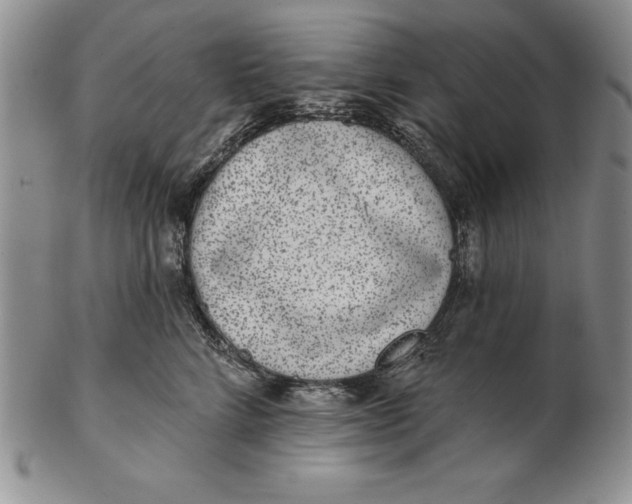 X0000102360712200808221716