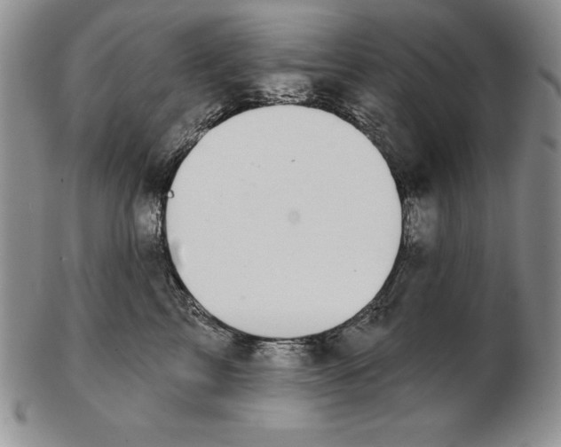 X0000102360713200808221716