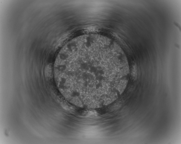 X0000102360715200808221716