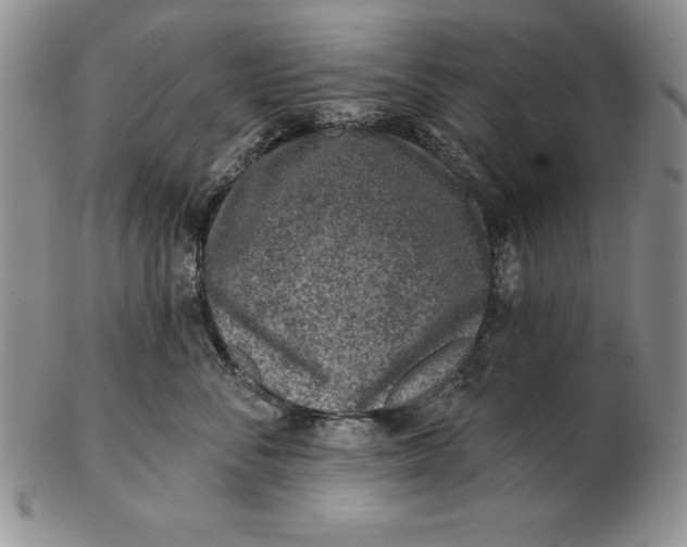 X0000102360716200808221716