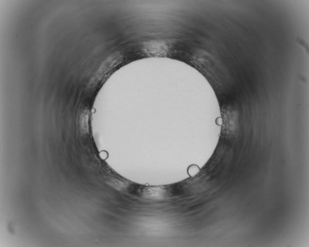 X0000102360717200808221716