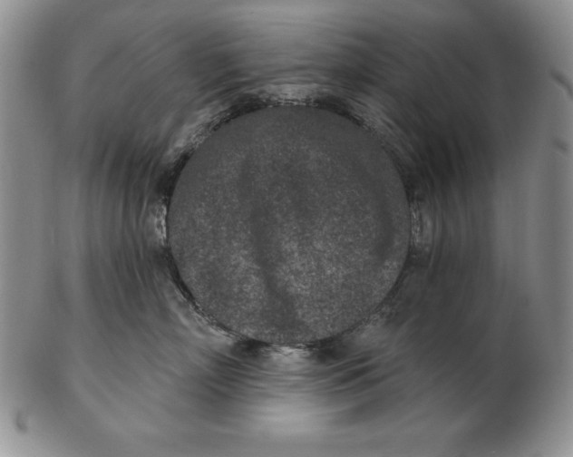 X0000102360718200808221716