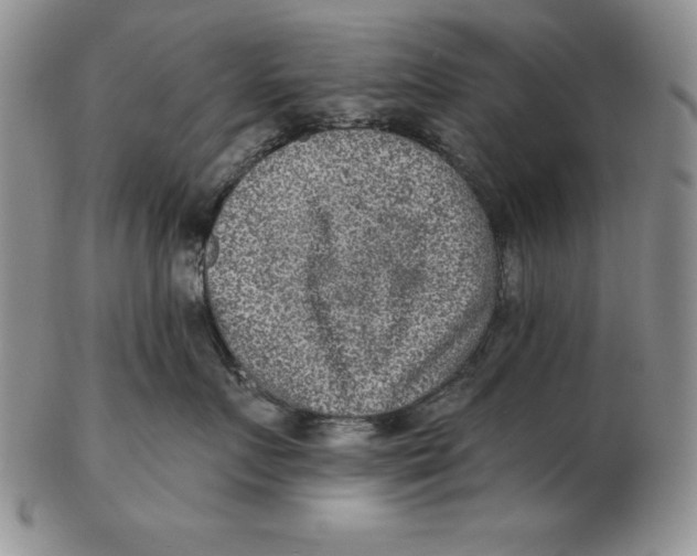 X0000102360719200808221716