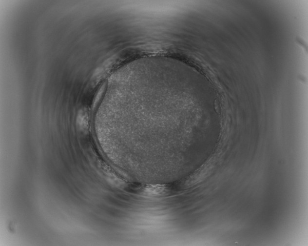 X0000102360720200808221716