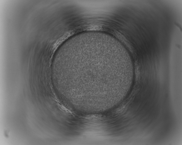 X0000102360721200808221715