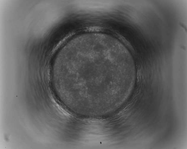 X0000102360722200808221715