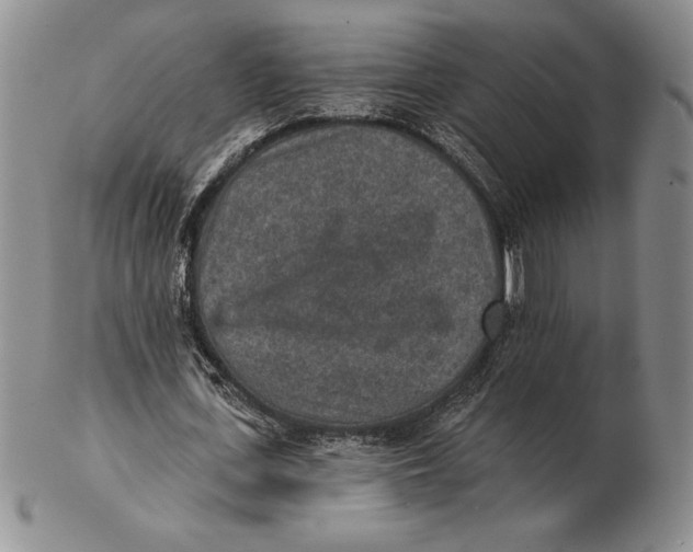 X0000102360723200808221715