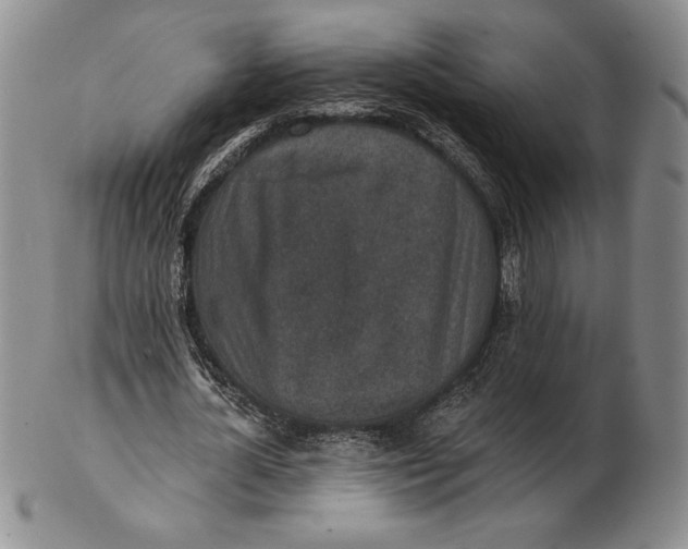 X0000102360724200808221715