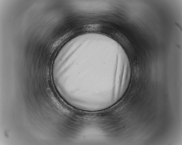 X0000102360725200808221715