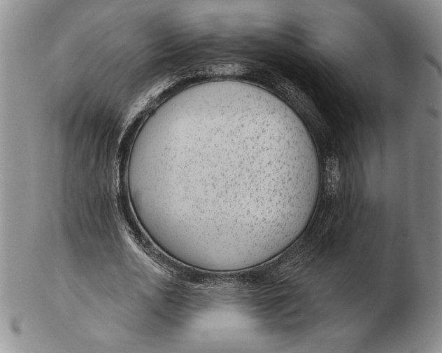 X0000102360726200808221715