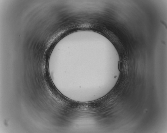 X0000102360728200808221715